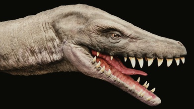 indominus ness pinshape character-modeling-contest nessy elasmosaurus aquatic creature dinosaur monster 3d print model - Mito3D