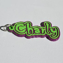 charly pinshape names tag nametag wanhao4s ultimaker3 ultimaker-3 wanhao leapfrog stickers decals sticker dual-filament dual-extrusion dual-color decal keyring keyrings keychain keychain-hanger 3d print model - Mito3D