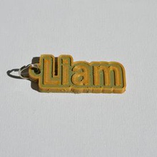 liam pinshape keychain-hanger keychain keyrings keyring decal dual-color dual-extrusion dual-filament sticker decals stickers leapfrog wanhao ultimaker-3 ultimaker3 wanhao4s nametag tag names frank badge badges 3d print model - Mito3D