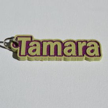 tamara pinshape keychain-hanger keychain keyrings keyring decal dual-color dual-extrusion dual-filament sticker decals stickers leapfrog wanhao ultimaker-3 ultimaker3 wanhao4s nametag tag names badge badges 3d print model - Mito3D