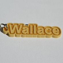 wallace pinshape keychain-hanger keychain keyrings keyring decal dual-color dual-extrusion dual-filament sticker decals stickers leapfrog wanhao ultimaker-3 ultimaker3 wanhao4s nametag tag names badge badges 3d print model - Mito3D