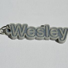 wesley pinshape keychain-hanger keychain keyrings keyring decal dual-color dual-extrusion dual-filament sticker decals stickers leapfrog wanhao ultimaker-3 ultimaker3 wanhao4s nametag tag names badge badges 3d print model - Mito3D