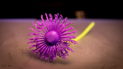 fleur pinshape fusion 360 drooloops 3d print model - Mito3D