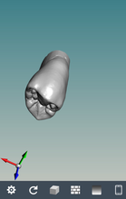 anatomia dientes pinshape carácter modelado concurso 3d print model - Mito3D