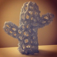 voronoi cacto pinshape meshlab cactus 3d print model - Mito3D