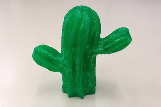 Mexikanische Kakteen pinshape scan Kaktus 123dcatch 3d print model - Mito3D