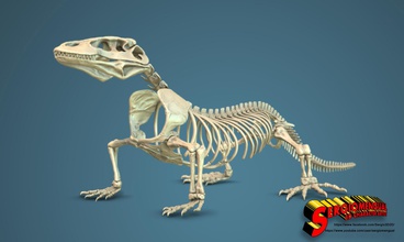 komodo dragon skeleton 1 5 scale pinshape reptile kit dinosaur craneus bone 3d print model - Mito3D