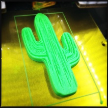 cactus pinshape scan omnomnom Kaktus 3d print model - Mito3D