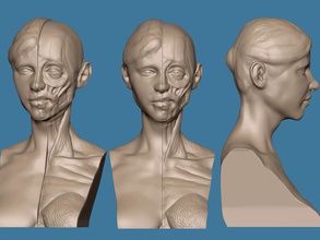 corch bust pinshape character-modeling-contest 3d print model - Mito3D