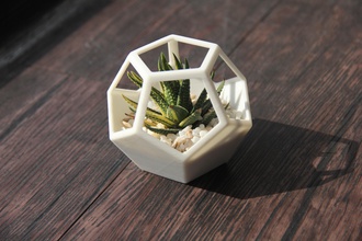 dodecaedro plantador pinshape minimalista geométricas geometria plantadores igrejas plantadeira 3d print model - Mito3D