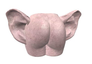ass ears - amit ohren pinshape ohr ear 3d print model - Mito3D