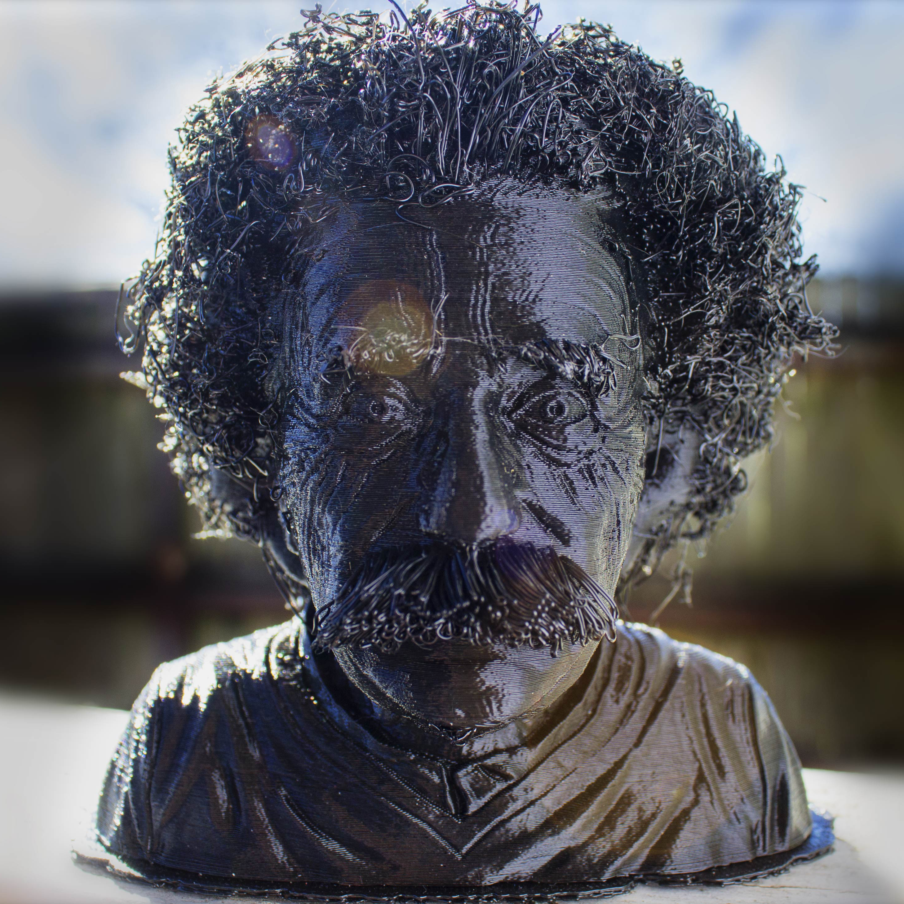 hairy einstein pinshape bridge stringing famous experimental no-supports furry bust hair albert 3D print model - Mito3D