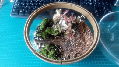 ikea blanda 20cm serving bowl terrarium pinshape glass hack 3d print model - Mito3D