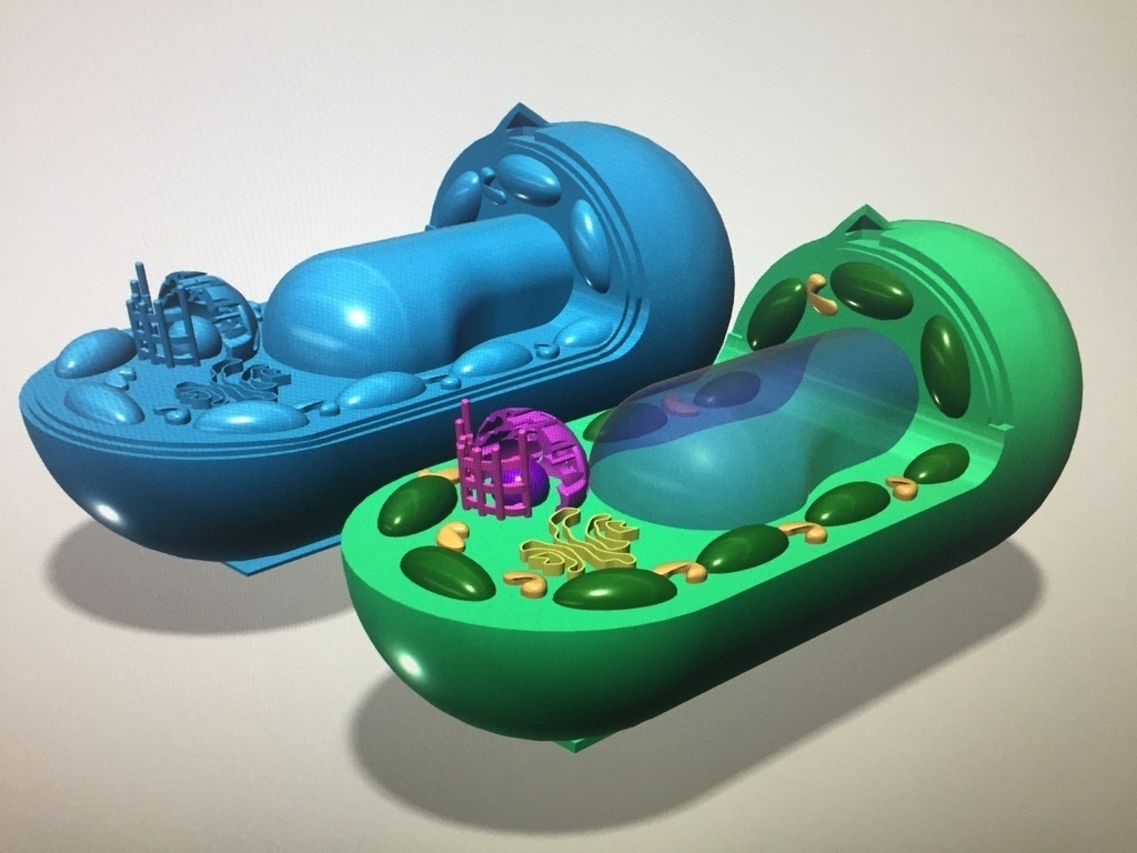 plant cell kom rka ro linna pinshape 3d-design 3D print model - Mito3D