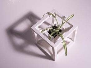 aion planteur pinshape jardinière 3d print model - Mito3D