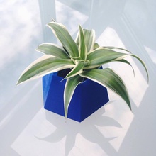 geometrische Pflanzer pinshape 3d design 3d print model - Mito3D