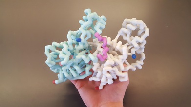 gedruckten 3d Moleküle pinshape protein Mechanismus Biologie envisionthefuture design challenge Jugend 3d print model - Mito3D