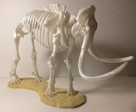 yünlü mamut iskeleti pinshape 3d tasarım 3d print model - Mito3D
