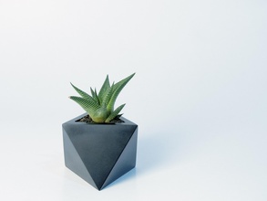 octaedro planteur pinshape l'octaèdre dodécaèdre mathématiques plantes grasses cactus maison décor design d'intérieur porte plume élégant moderne 3d print model - Mito3D