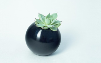 sfera planter pinshape sphere plantermodern dodecahedron math succulents cactus home-decor interior design pen-holder elegant modern 3d print model - Mito3D