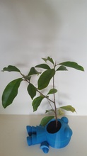 plant eating man pinshape home-decor pot figure planter plant-pot plant-rod 3d print model - Mito3D