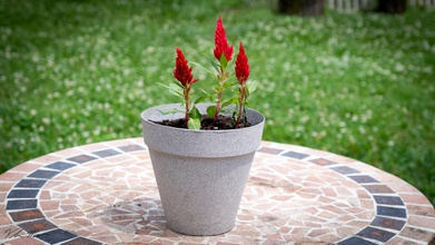 flower pot pinshape clay-pot pottery planters planter flower-pot flower-vases 3d print model - Mito3D