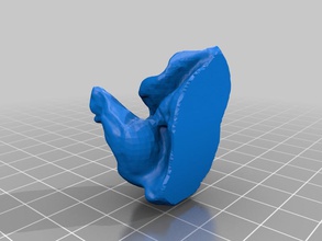 cochlea pinshape 3d-printing elle-jewelry-design-contest einscan-s cochlear 3d scan 3dmodel 3d print model - Mito3D