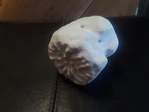 fosil cetacean çocuk kaudal vertebra pinshape 3d tasarım 3d print model - Mito3D