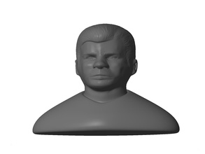 mâle buste pinshape miniatures tête d'homme l'homme sexe masculin statue 3d print model - Mito3D