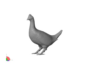 grouse pinshape ruffed nature wild bird animal 3d print model - Mito3D
