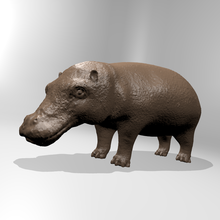 su aygırı pinshape doğa Hayvanat Bahçesi Afrika vahşi memeli hayvan 3d print model - Mito3D