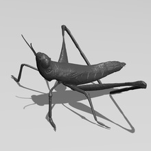 kriket pinshape minyatür heykel çim doğa vahşi hayvan çekirge böcek 3d print model - Mito3D