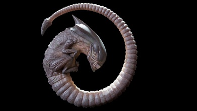 alien chestburster pinshape monster baby larva creature space-invader predator movie 3d print model - Mito3D