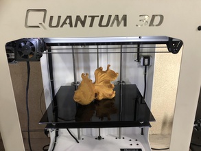 pez dorado pinshape quantum3d decoración animales pescado 3d print model - Mito3D