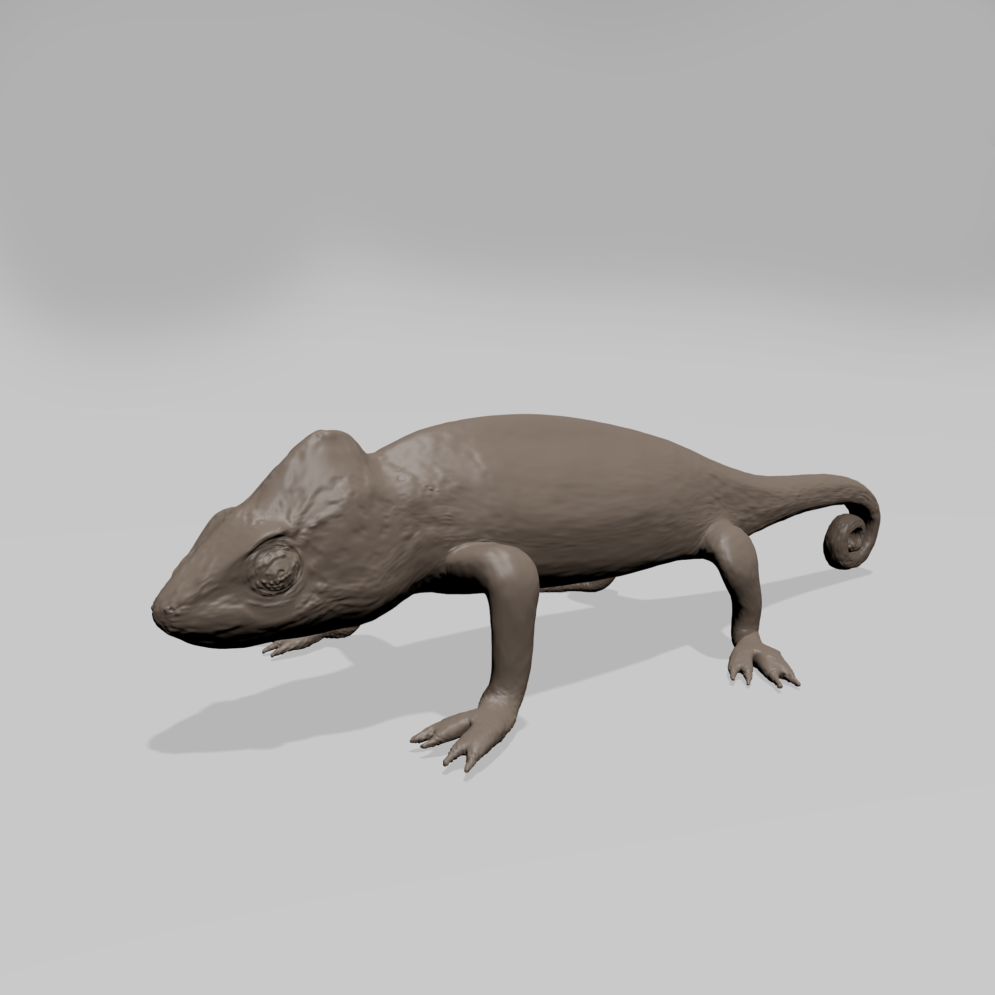 caméléon pinshape reptile sauvage lézard animal 3D print model - Mito3D