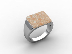 knock wood pinshape elle-jewelry-design-contest signet mokume jewelry silver 3d print model - Mito3D