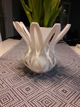 vaso intrecciati fiori pinshape tenuta stagna d'acqua i vasi stampa fiore in 3d print model - Mito3D