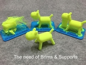 brims & supports learning 3d printer pinshape brim 3dprinting learning-3d teaching 3d print model - Mito3D