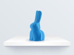rabbit pinshape animals conejo 3d print model - Mito3D