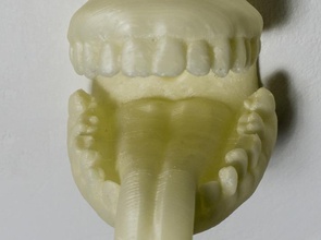 fome cabide pinshape partes corpo estranho decorativos parede monte montagem dentes anatomia língua comer titular dente 3d print model - Mito3D
