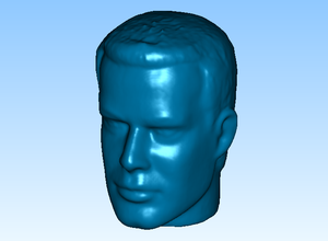 l'homme tête 1 pinshape L'impression 3d 3d print model - Mito3D