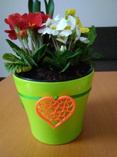 valentine's day theme pinshape valentine valentines heart 3d print model - Mito3D