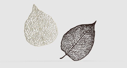 leaf veins pinshape 3d-design 3d print model - Mito3D