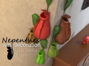 nepenthes decoración pared pinshape conjunto planta carne mosca comer 3d print model - Mito3D