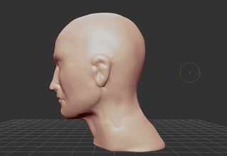 roughly formed head template pinshape 3d print model - Mito3D
