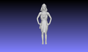 printle femme 019 pinshape dress woman 3d print model - Mito3D