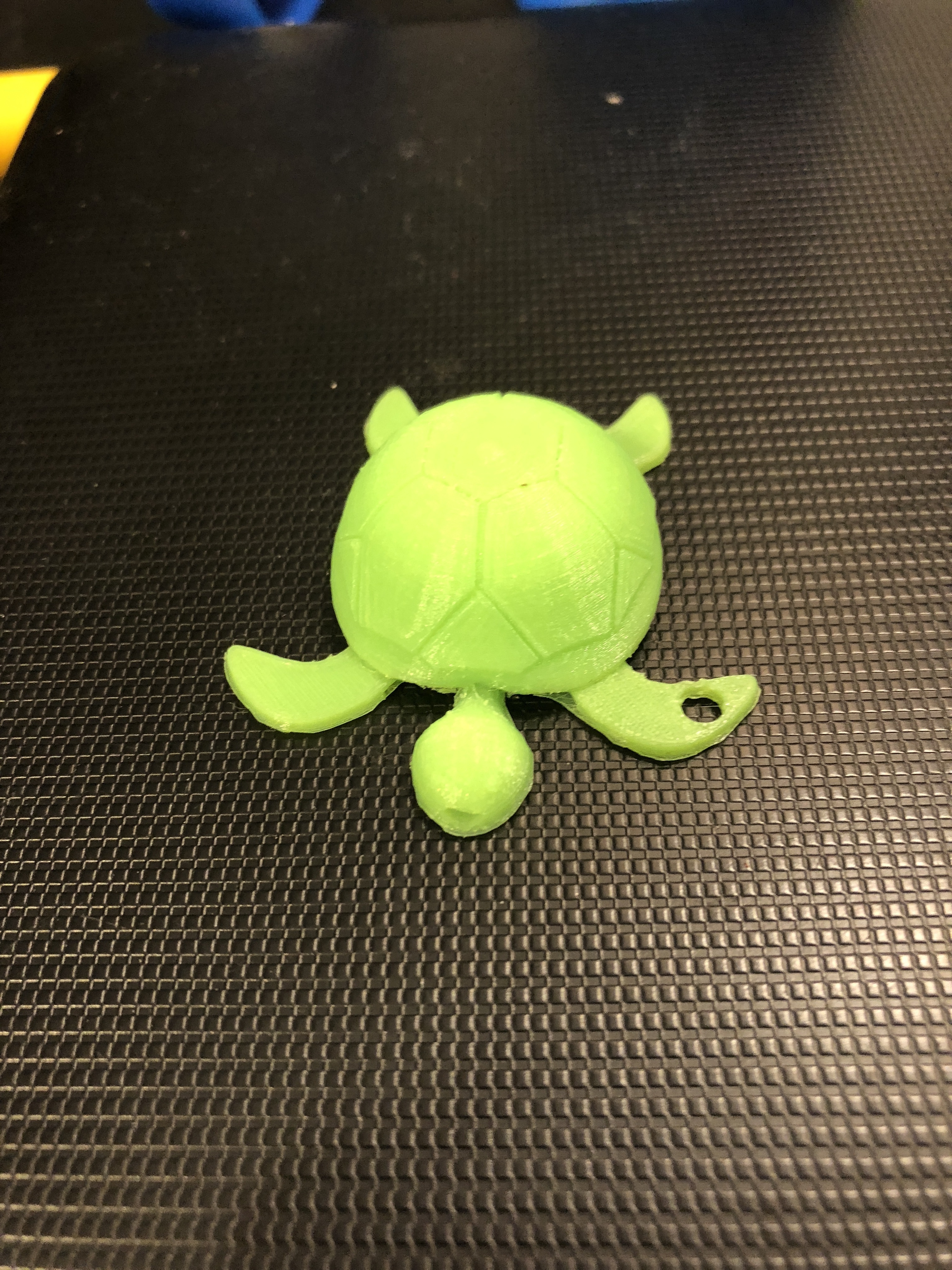 sea turtle keychain pinshape 3d-design 3D print model - Mito3D