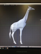 giraffa pinshape 3d print model - Mito3D