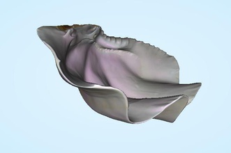 shell pila agua bendita tailandia pinshape caña pescar marina concha 3d print model - Mito3D