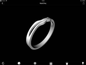 ring pinshape Ringe Schmuck 3d print model - Mito3D